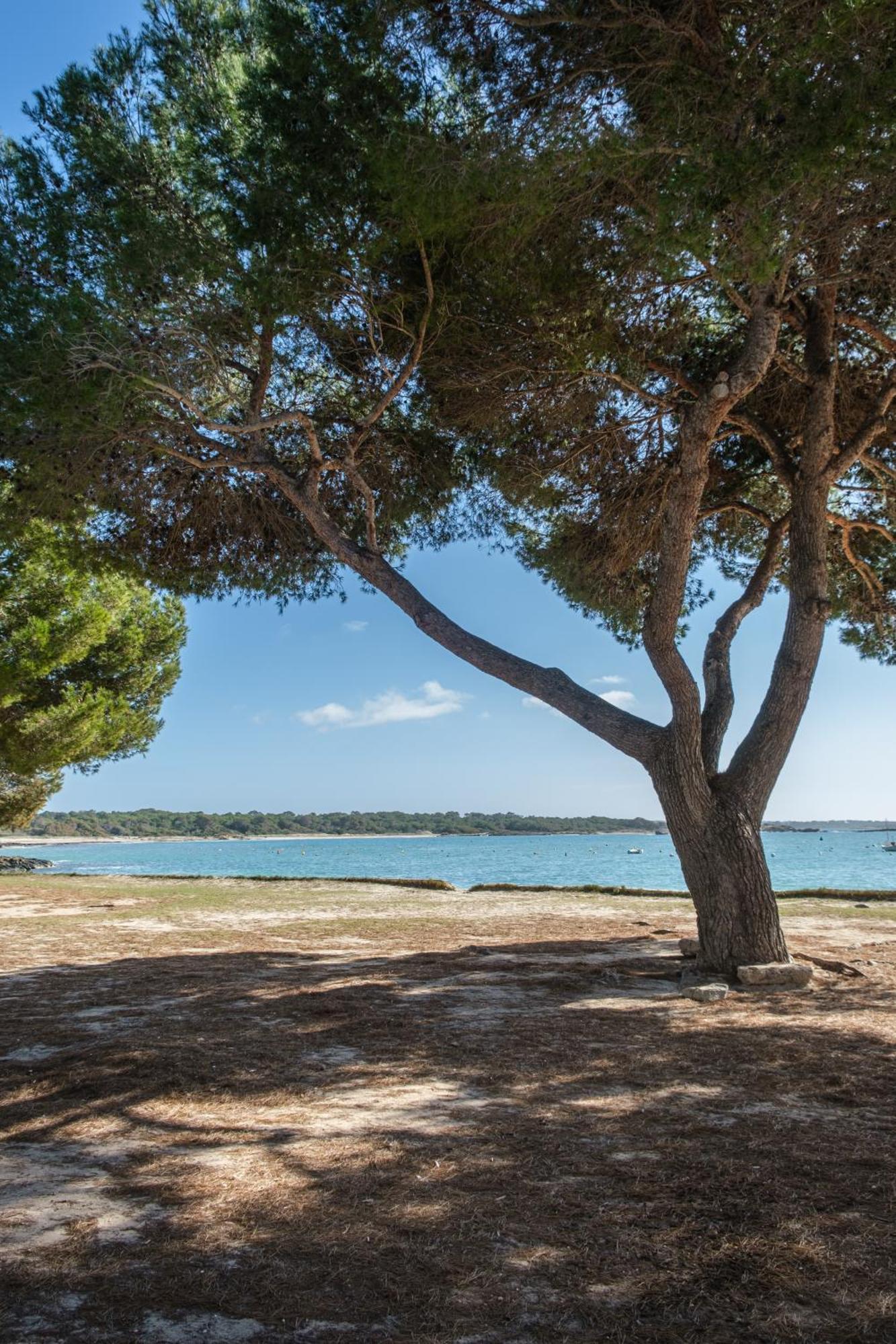 Alma Libre Beach Apartment Colonia de Sant Jordi Extérieur photo